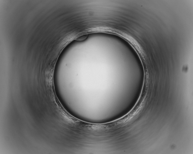 X0000100200857200806131228