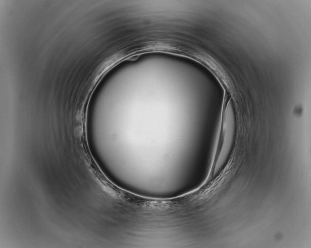 X0000100200858200806131228