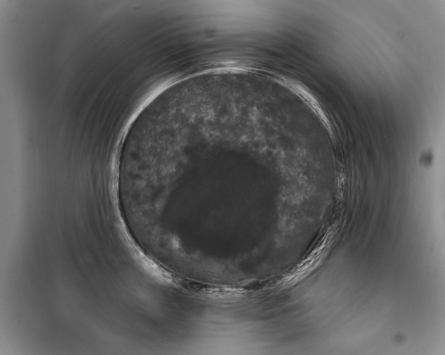 X0000100200859200806131228