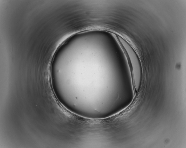 X0000100200862200806131228