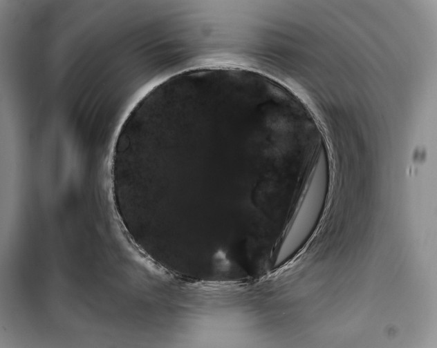 X0000100200864200806131228