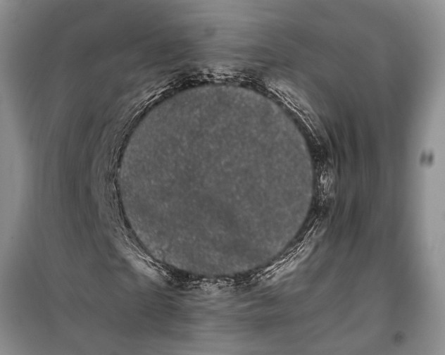 X0000100200865200806131227