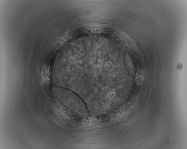 X0000100200866200806131227