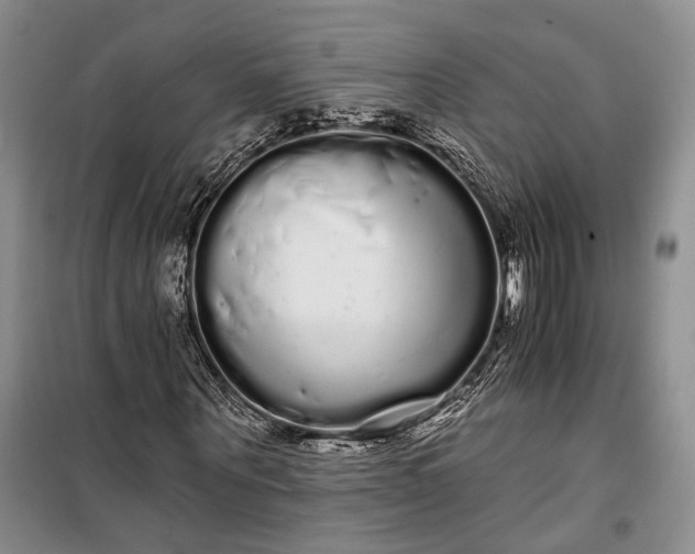 X0000100200867200806131227