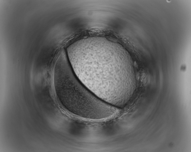 X0000100200868200806131227