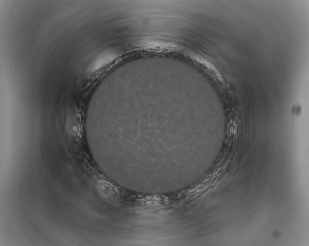 X0000100200869200806131227