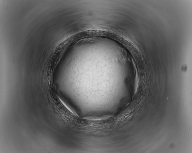 X0000100200870200806131227