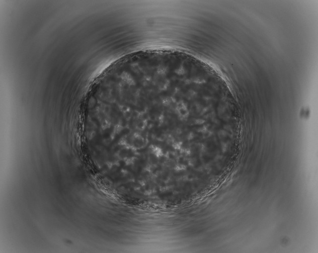 X0000100200871200806131227