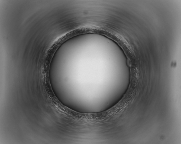 X0000100200872200806131227