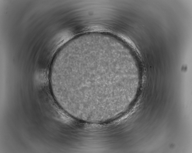 X0000100200873200806131227