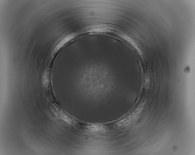 X0000100200874200806131227