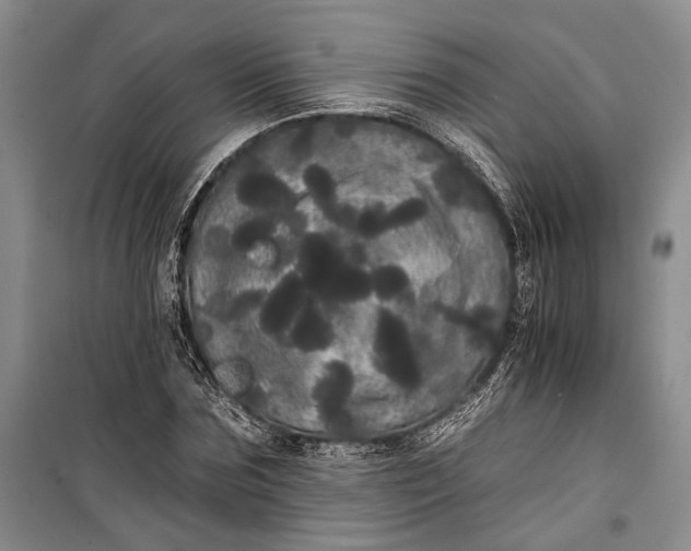 X0000100200875200806131227