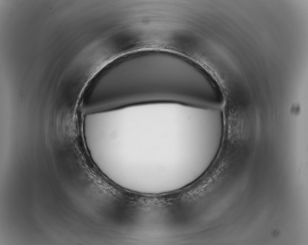 X0000100200876200806131227