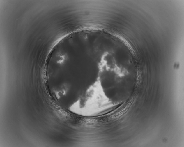 X0000100200878200806131227