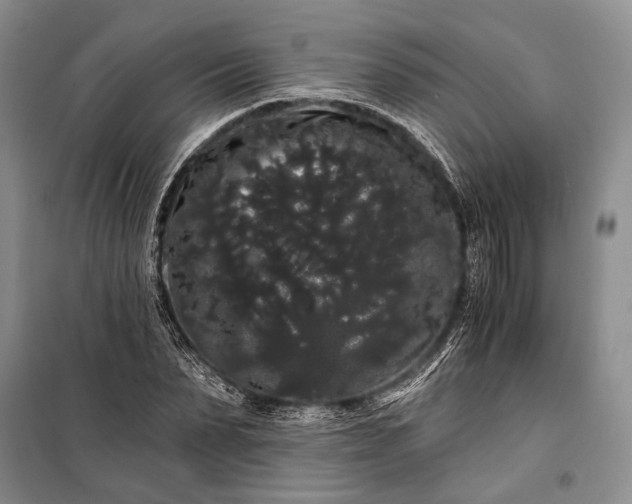 X0000100200879200806131227