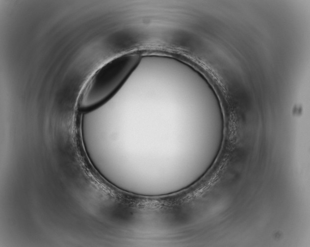 X0000100200880200806131227