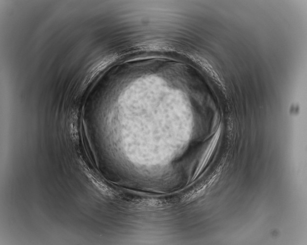 X0000100200881200806131227