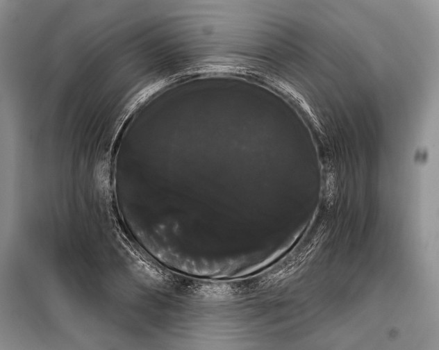 X0000100200882200806131227