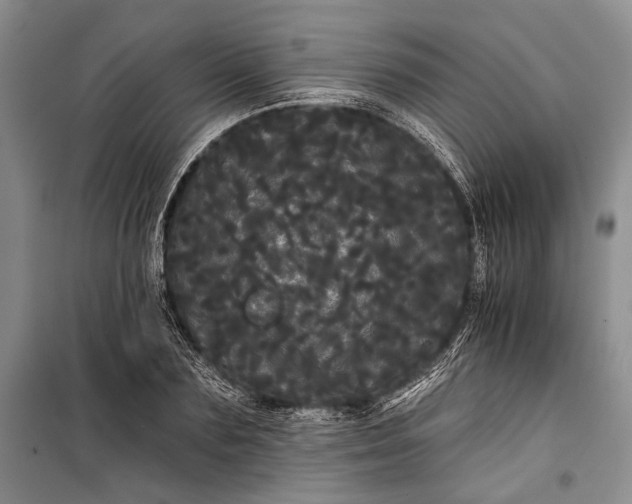 X0000100200883200806131227