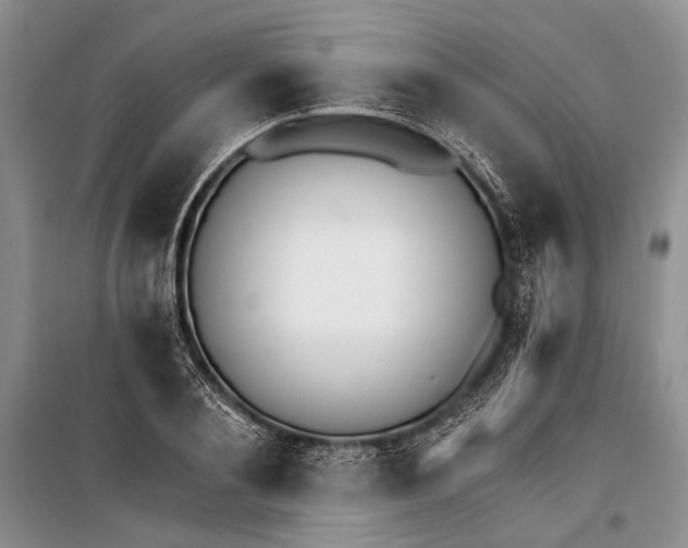 X0000100200884200806131227