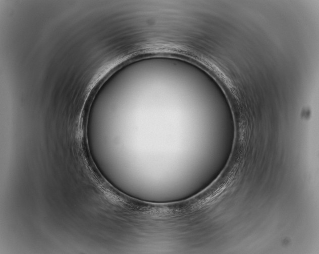 X0000100200885200806131227