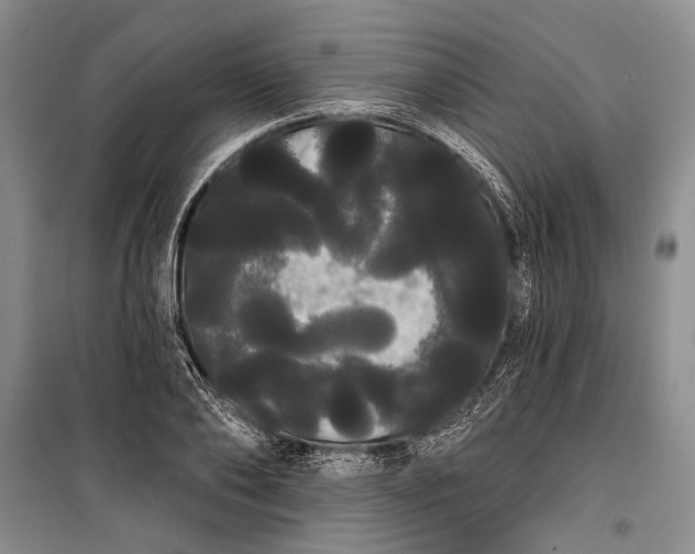 X0000100200886200806131227