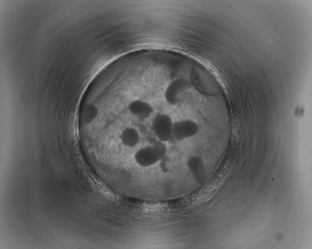 X0000100200887200806131227