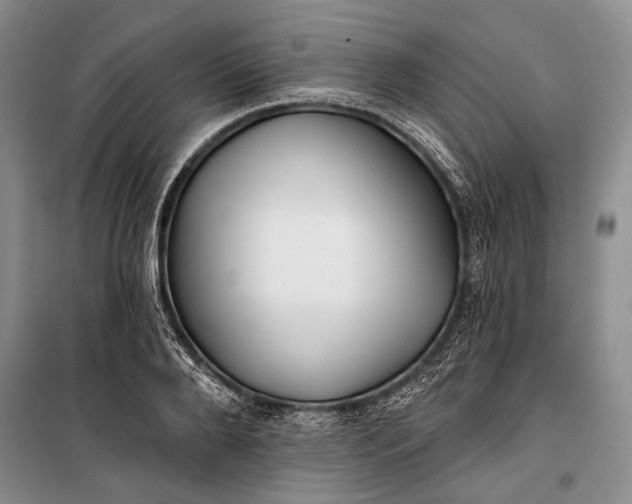 X0000100200888200806131227