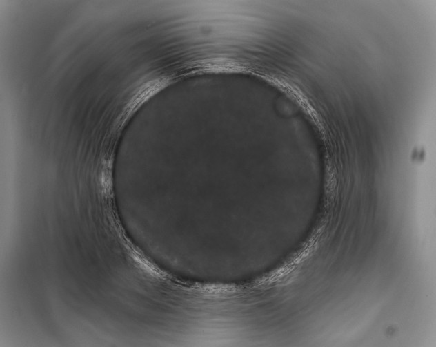 X0000100200889200806131227