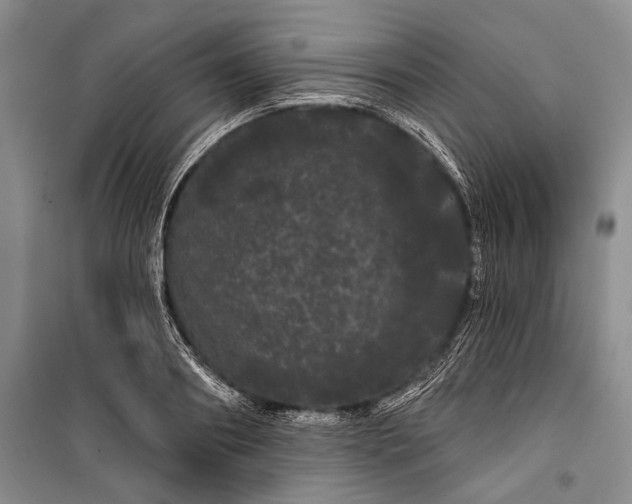 X0000100200890200806131227