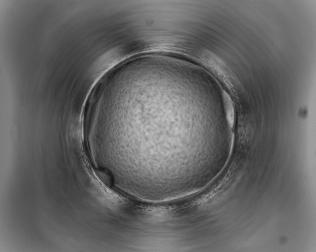 X0000100200892200806131227