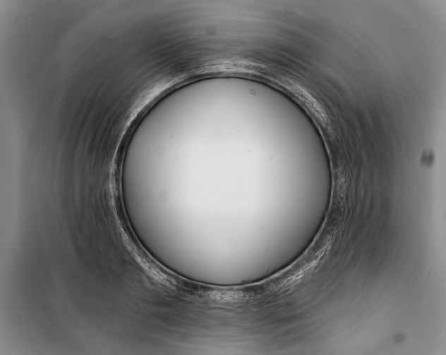 X0000100200893200806131227