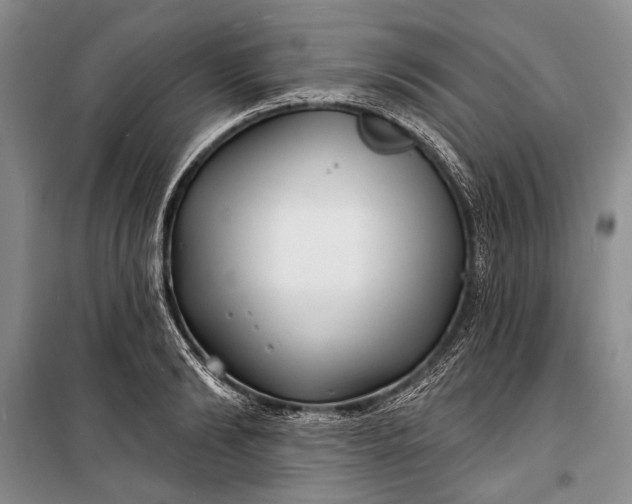 X0000100200894200806131227