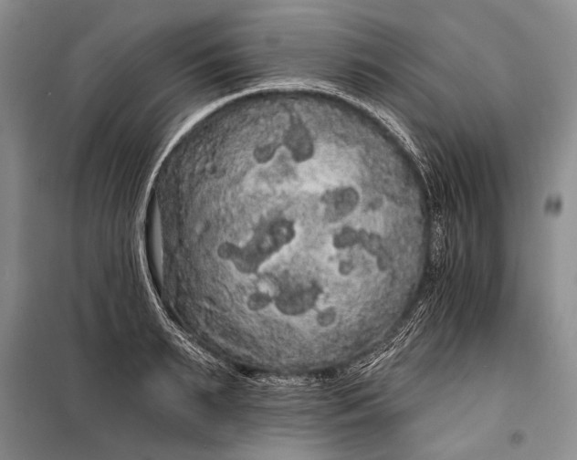 X0000100200895200806131227