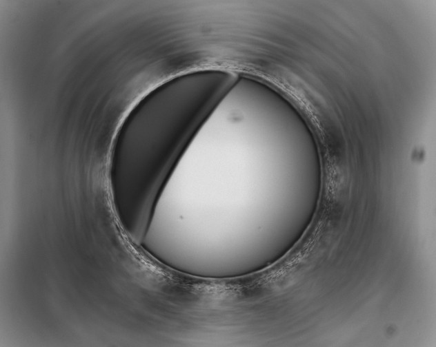 X0000100200896200806131227