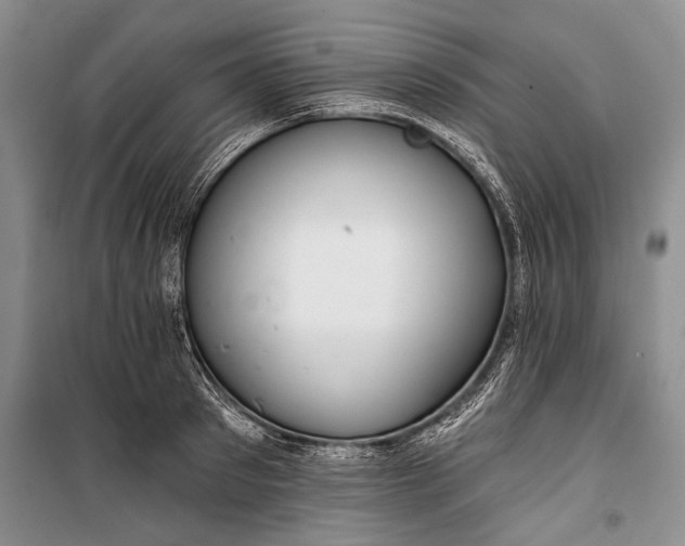 X0000100200897200806131227