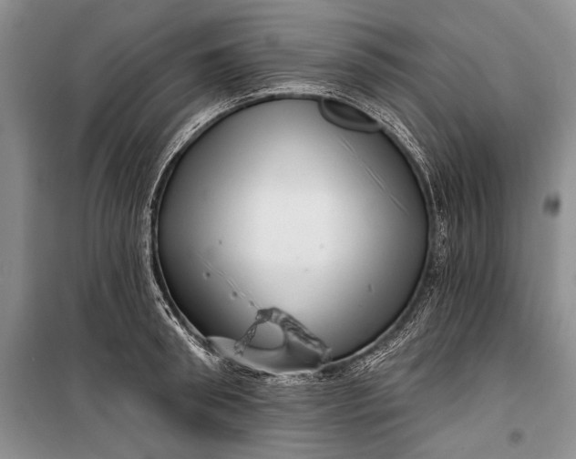 X0000100200898200806131227