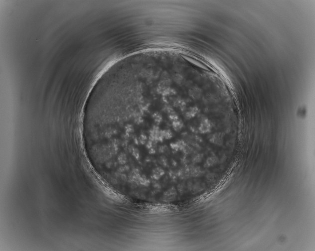 X0000100200899200806131227