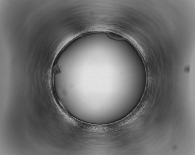 X0000100200901200806131227