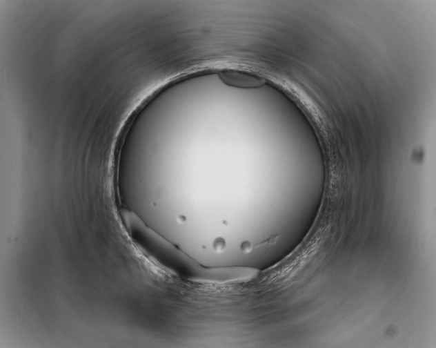 X0000100200902200806131227