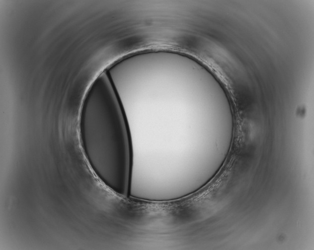 X0000100200904200806131227