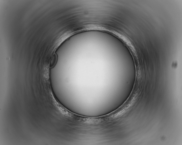 X0000100200905200806131227