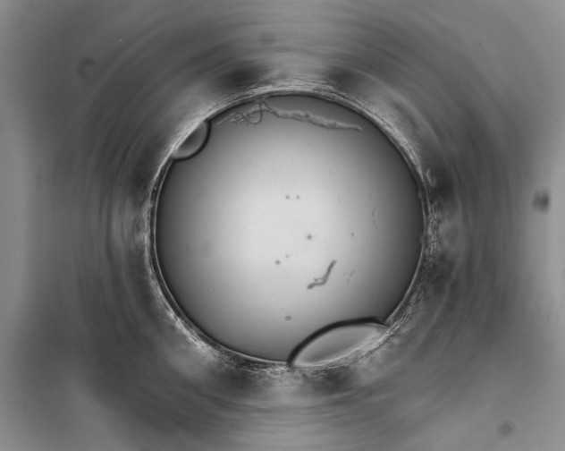 X0000100200906200806131227