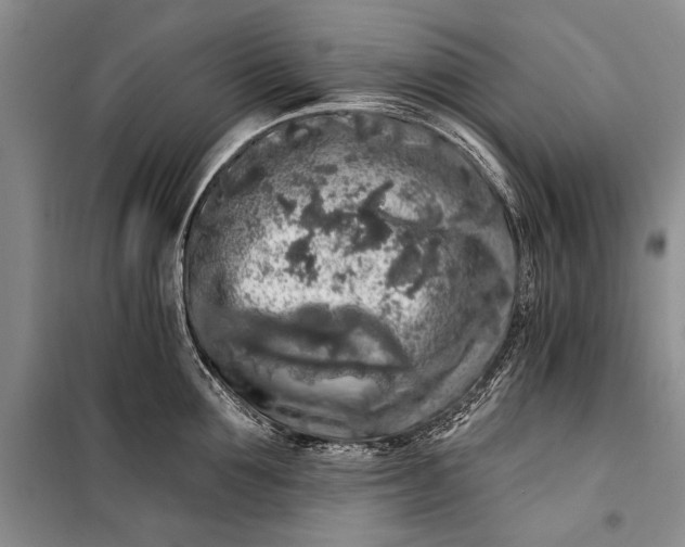 X0000100200907200806131227