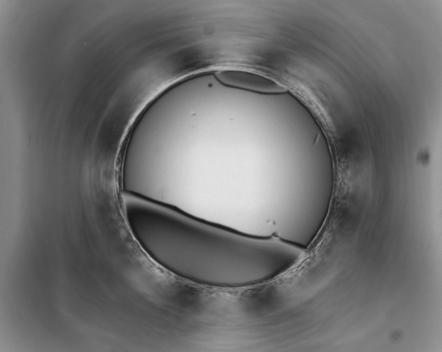 X0000100200908200806131226