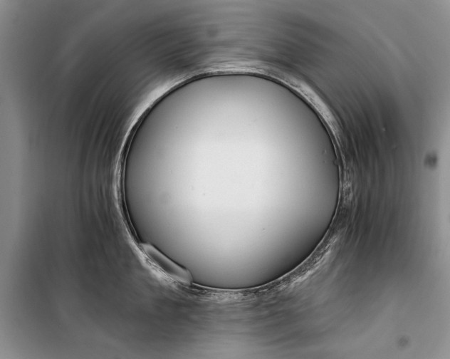 X0000100200909200806131226