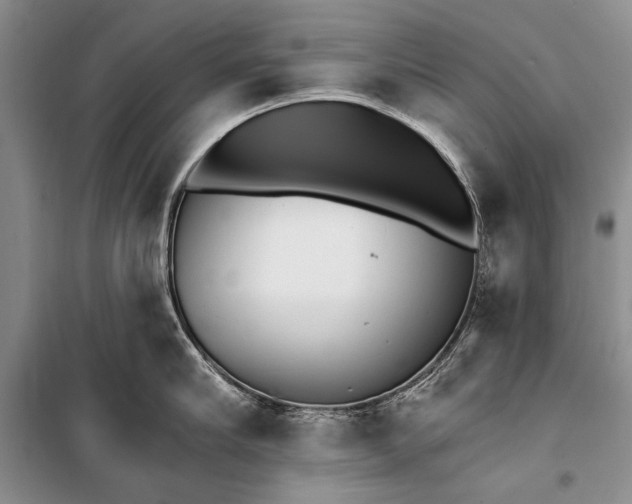 X0000100200910200806131226