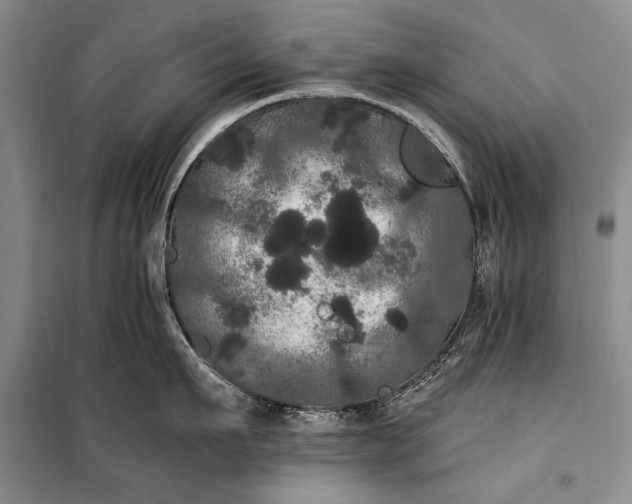 X0000100200911200806131226