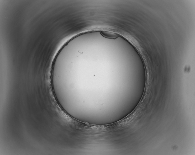 X0000100200912200806131226