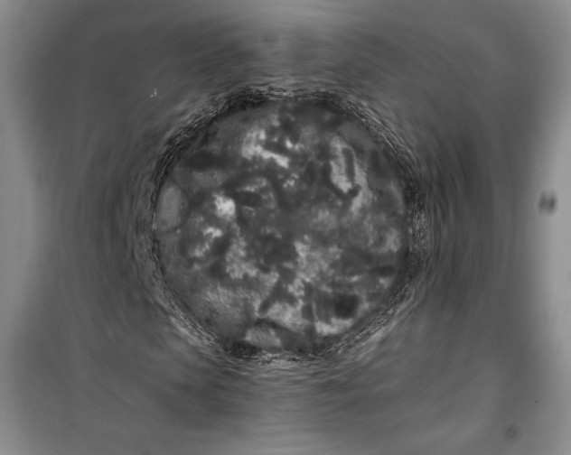 X0000100200913200806131226